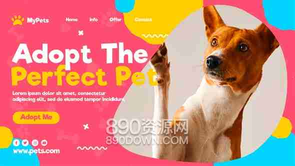 AE+PR模板宠物收养宣传海报猫咪狗狗宠物用品促销介绍